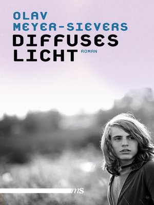 cover image of Diffuses Licht